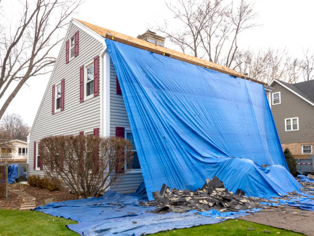 Best Same-Day Junk Removal Services  in Sterlington, LA